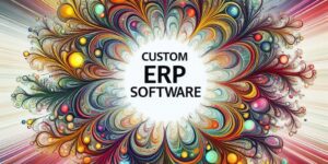 Custom ERP Software